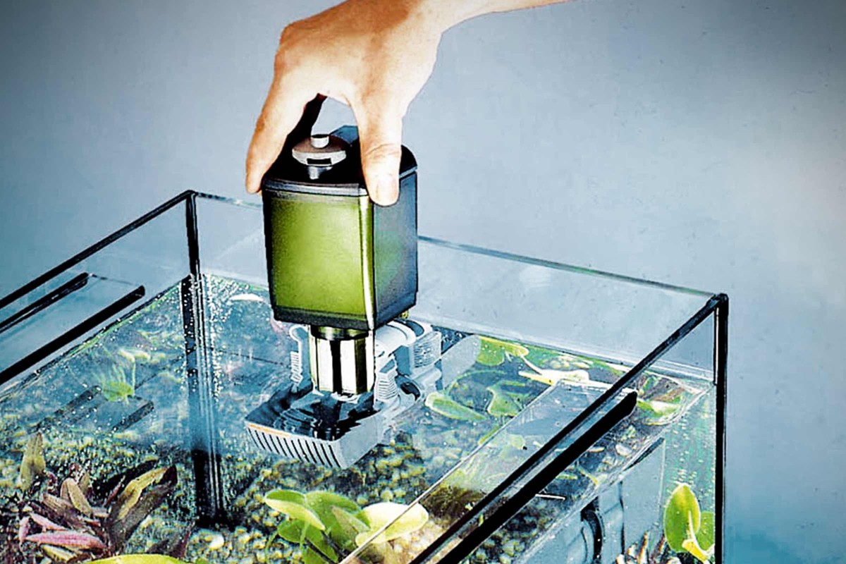 kathedraal hoeveelheid verkoop Dempsey Aquarium techniek - Aquarium filter & pomp kopen bij HORNBACH