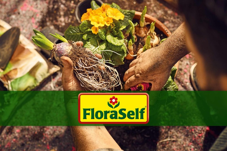 FloraSelf - het merk