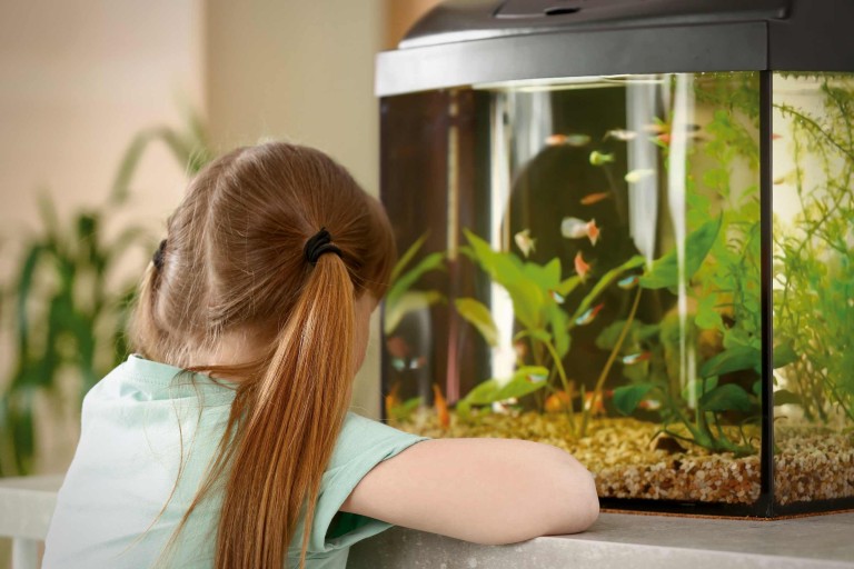 Aquarium voor kinderen