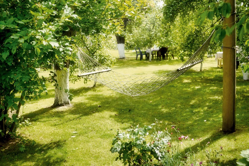 
				Groene tuin . HORNBACH

			