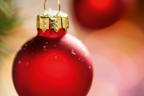Kerstballen kopen? . . Alles voor Kerstboom