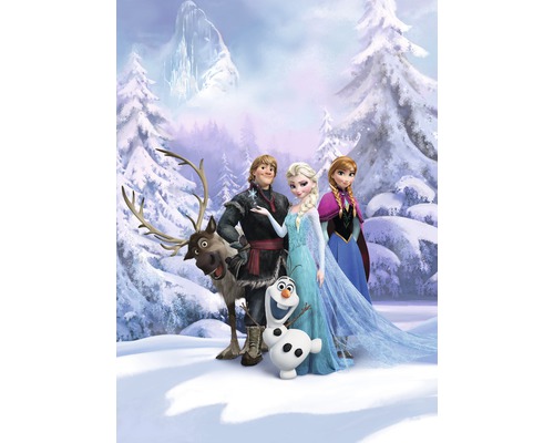 KOMAR Fotobehang papier 4-498 Disney Edition 4 Frozen winterland 184x254 cm