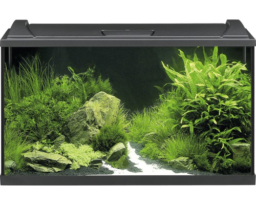 Massage Ga trouwen Beangstigend EHEIM Aquarium Aquaproled LED zwart 126 L, 80x35x45 cm kopen! | HORNBACH