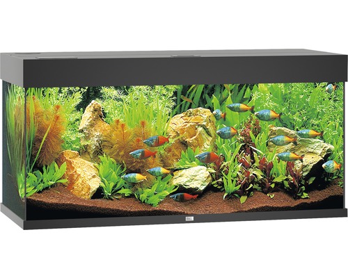 Suradam Archaïsch Gangster JUWEL Aquarium Rio LED zwart 180 L, 101x41x50 cm kopen! | HORNBACH