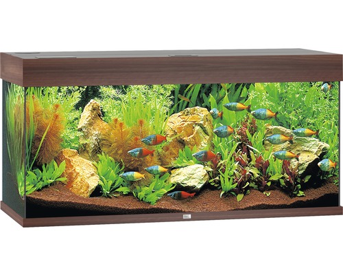 Oraal ernstig Rationeel JUWEL Aquarium Rio LED donker hout 180 L, 101x41x50 cm kopen! | HORNBACH