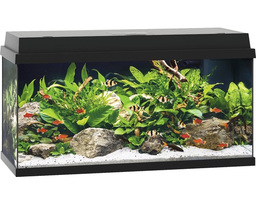 auteur Malaise Dislocatie JUWEL Aquarium Primo LED zwart 110 L, 81x36x45 cm kopen! | HORNBACH