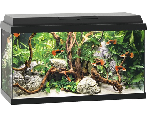 Natura Ambitieus Cataract JUWEL Aquarium Primo LED zwart 60 L, 61x31x37 cm kopen! | HORNBACH