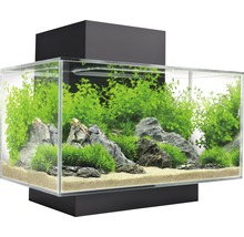 FLUVAL Aquarium Edge 2.0 LED zwart 23 L, 54x43x40 cm-thumb-0
