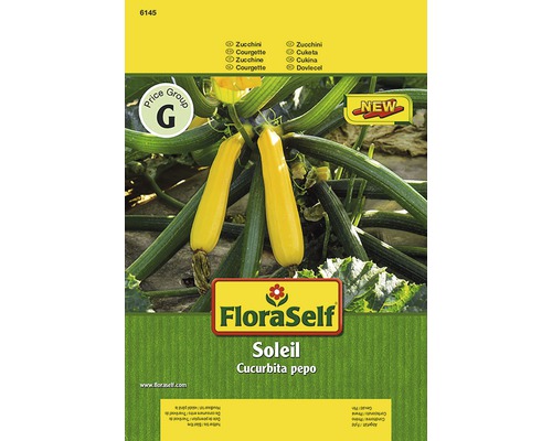 FLORASELF® Courgette Soleil