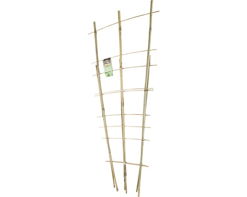 FLORASELF® Bamboe klimrek 60cm