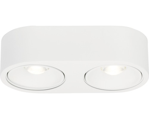 Wiskundige spek Verval AEG LED Plafondlamp Leca 2-lichts wit kopen! | HORNBACH
