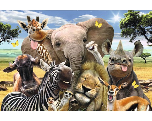 REINDERS Poster Wildlife Funnies 61x91,5 cm