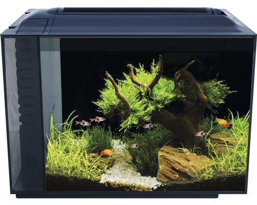 dictator diefstal licht FLUVAL Aquarium Spec XV LED zwart 60 L, 60x35x46 cm kopen! | HORNBACH