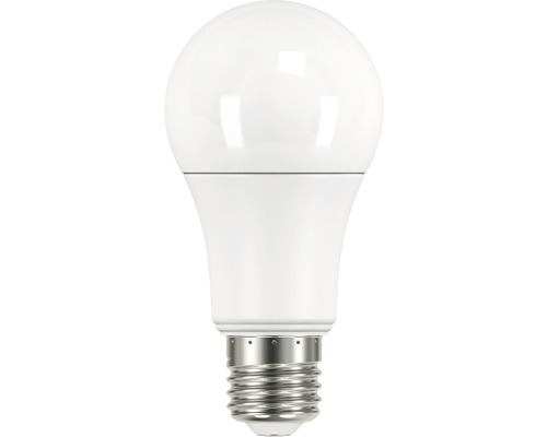 Noord West Vaarwel Praten tegen FLAIR LED lamp met bewegingsdetectie E27/9W peervorm warmwit kopen bij  HORNBACH