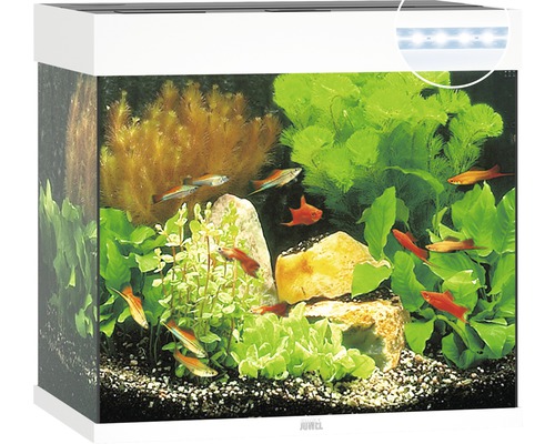 Streng gevechten Hectare JUWEL Aquarium Lido LED wit 120 L, 61x41x58 cm kopen! | HORNBACH