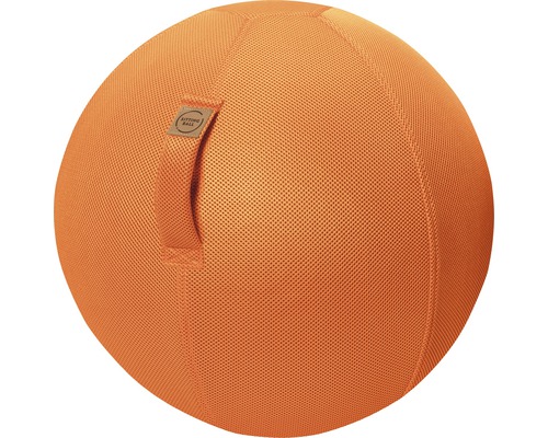 SITTING BALL Zitbal Mesh oranje ø 65 cm