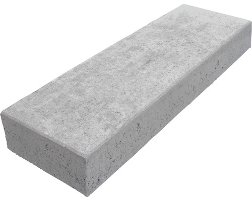 DIEPHAUS Traptrede beton grijs 100x35x15 cm