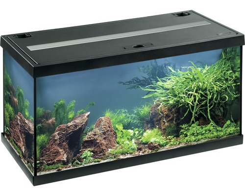 EHEIM Aquarium Aquastar LED zwart 54 L, 60x30x30 cm
