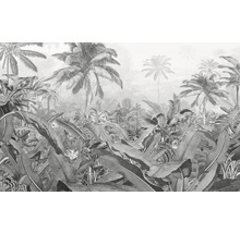 KOMAR Fotobehang vlies P013-VD4 Amazonia Black and White 400x250 cm-thumb-0