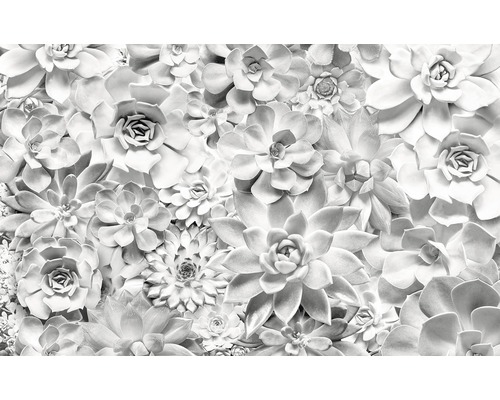 KOMAR Fotobehang vlies P962-VD4 Shades Black and White 400x250 cm-0