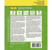 FLORASELF® Lupine mix Lupinus hartwegii bloemenzaden-thumb-1
