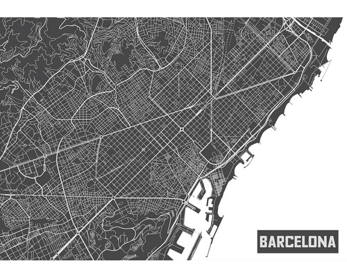 Fotobehang papier Map Barcelona 254x184 cm-0