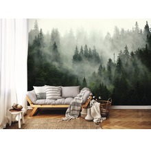 Fotobehang papier Bossen in de mist 254x184 cm-thumb-1