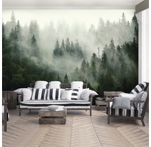 Fotobehang papier Bossen in de mist 254x184 cm-thumb-3