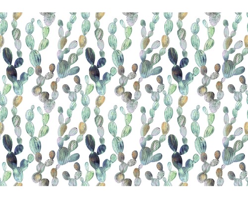 Fotobehang papier Cactus 254x184 cm-0