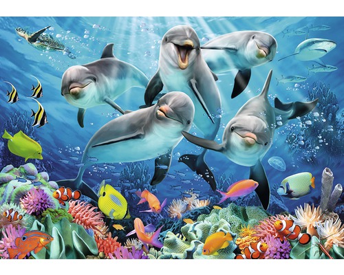 tekort krullen Onderdrukken Fotobehang vlies Selfies Dolfijn 368x254 cm kopen! | HORNBACH