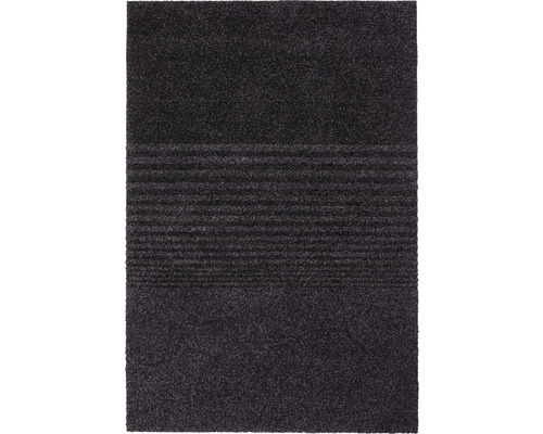 HAMAT Schoonloopmat Triplebrush zwart 133x200 cm