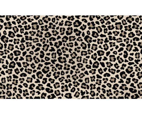 Ruïneren Geavanceerd Vergelijkbaar MD ENTREE Loper Safari beige 67x120 cm kopen! | HORNBACH