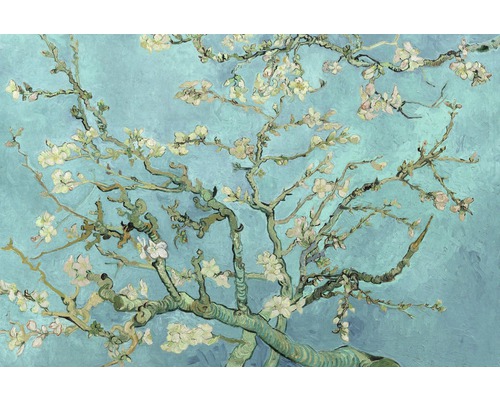 REINDERS Poster Van Gogh Bloesem 61x91,5 cm-0