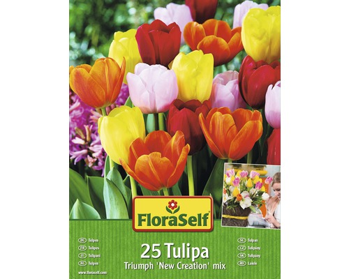 FLORASELF Bloembollen Tulpen new creation gemengd 25 st.-0