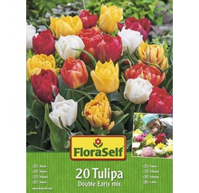 FLORASELF Bloembollen Tulpen dubbel gemengd 20 st.-thumb-0