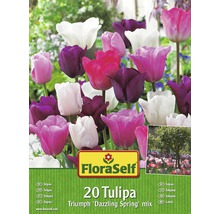 FLORASELF Bloembollen Tulpen "dazzling spring" gemengd 20 st.-thumb-0