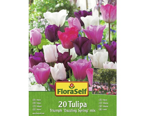 FLORASELF Bloembollen Tulpen "dazzling spring" gemengd 20 st.-0