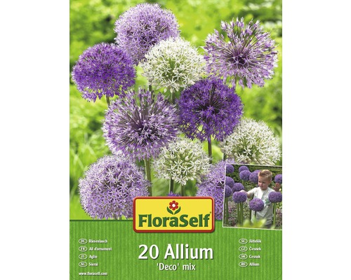 FLORASELF Bloembollen Allium deco gemengd 20 st.-0