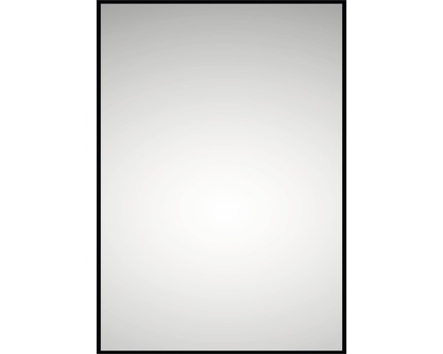 grijs Uitbreiding tuberculose Spiegel Black Line 40x60 cm kopen! | HORNBACH