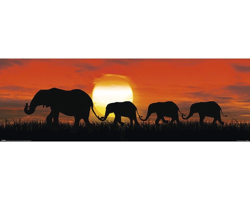 PLANET PICTURES Decopaneel Sunset elephant 30x90 cm-0