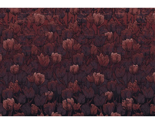 KOMAR Fotobehang vlies HX8-051 Tulipe 400x280 cm-0