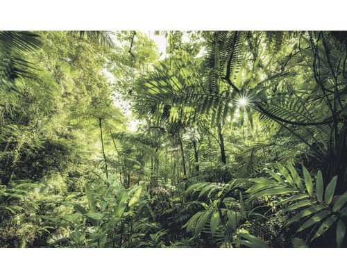KOMAR Fotobehang vlies SH041-VD4 Into The Jungle 400x250 cm