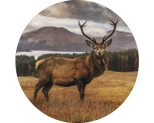 PURE LIVING Schilderij glas Deer In A Field ø 30 cm