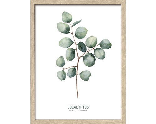 PURE LIVING Schilderij met lijst Eucalyptus 33x43 cm-0