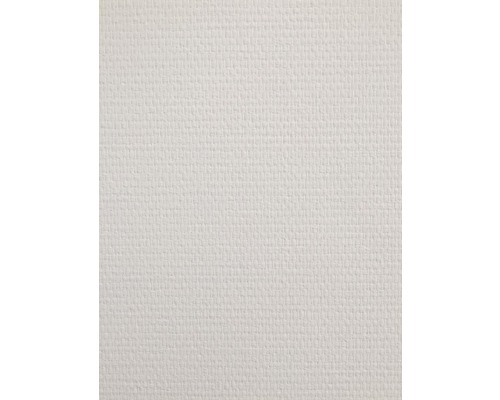 LECO Glasweefselbehang 136 gr/m² voorgeschilderd superfijn wit 1x50 m