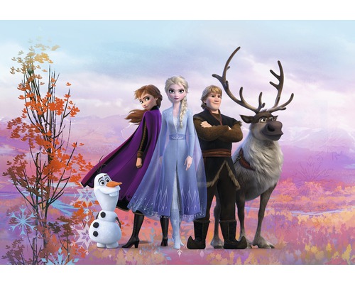 SUNNY DECOR Fotobehang papier 8-4103 Disney Edition 4 Frozen Iconic 368x254 cm-0