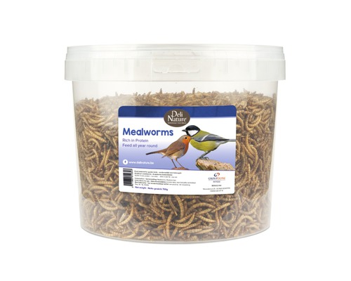 DELI-NATURE Greenline meelwormen 700 g
