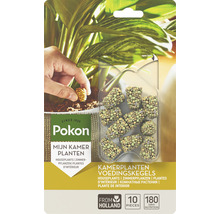 POKON Kamerplanten voedingskegels 10 st-thumb-0