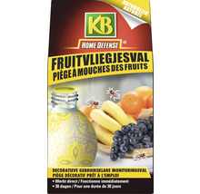 KB Fruitvliegjes val-thumb-0