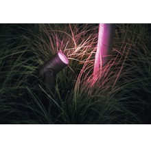 PHILIPS Hue White and Color ambiance LED buitenspot Lily zwart 24V (basisset)-thumb-6